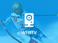 Webtv Andalo